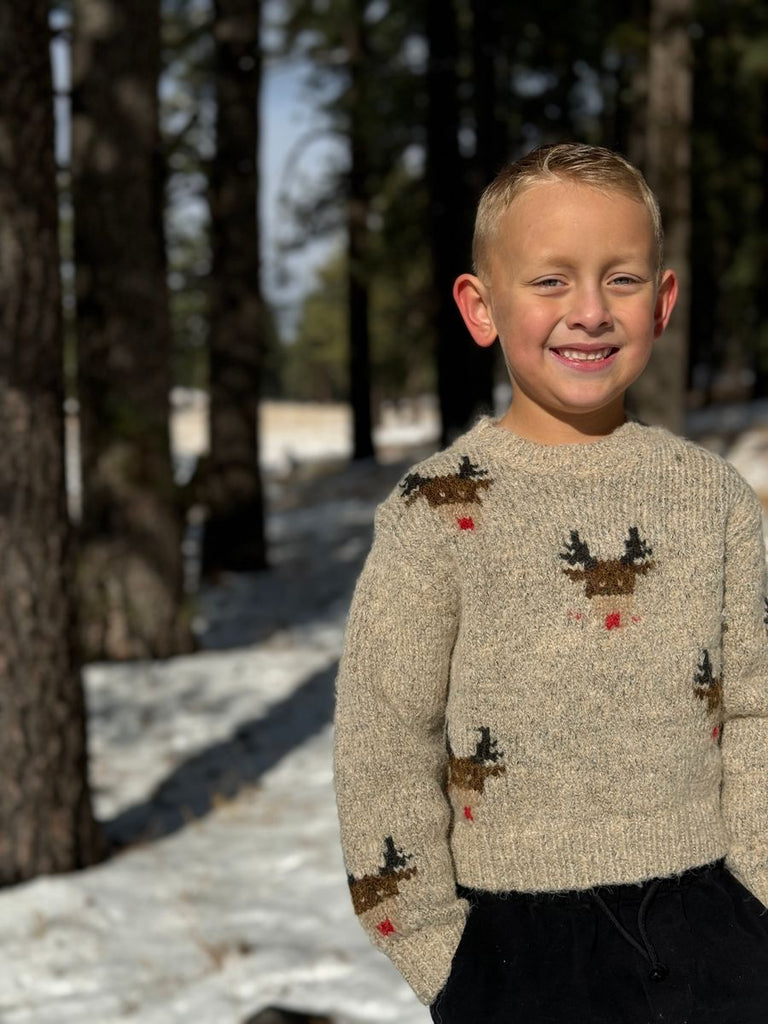 Rudy Reindeer Sweater