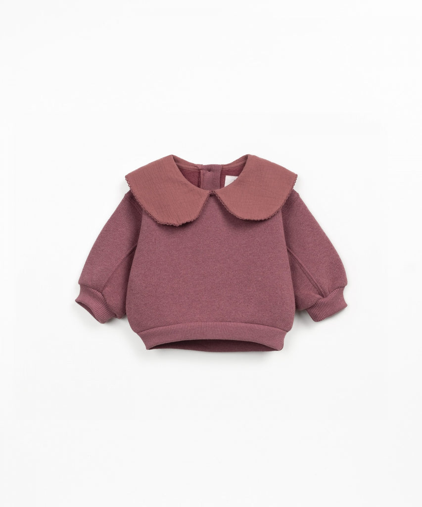 Peter Pan Collar Sweater Set