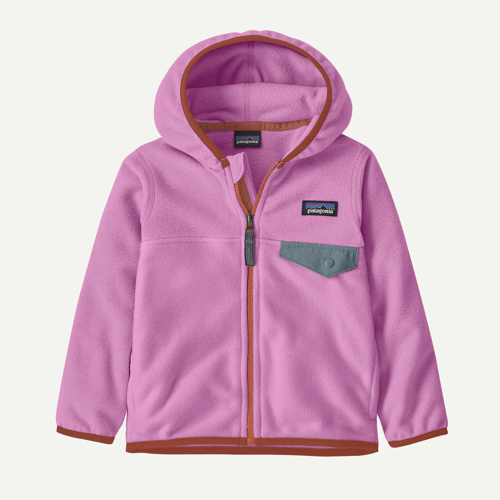 Brisk Purple Patagonia Micro D Snap-T Jacket
