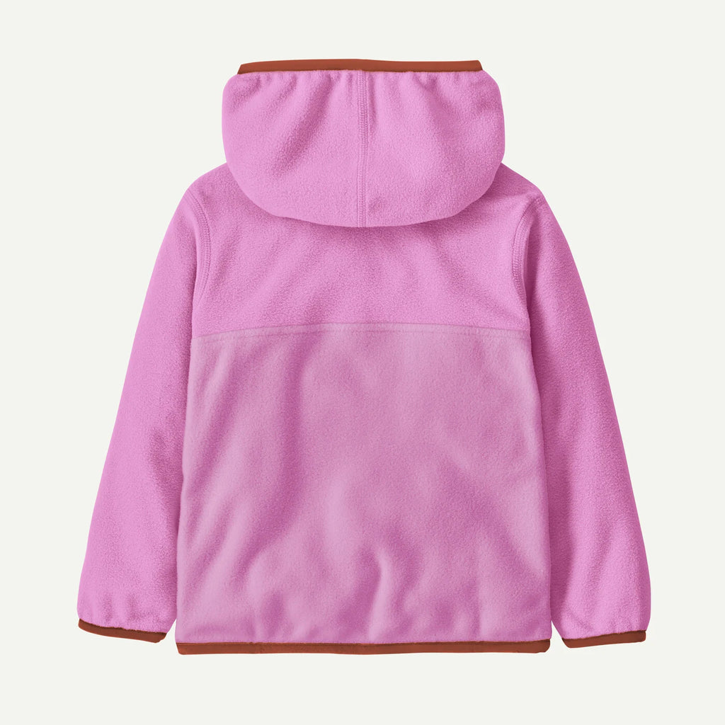 Brisk Purple Patagonia Micro D Snap-T Jacket
