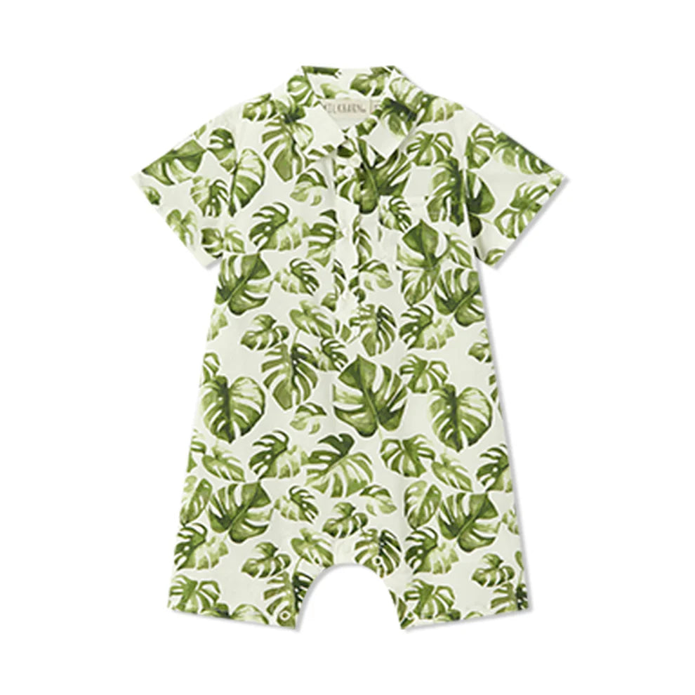 Island Leaf Collard Shortall