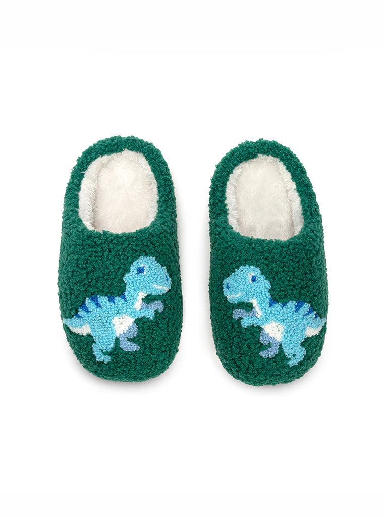 Dinosaur Slippers