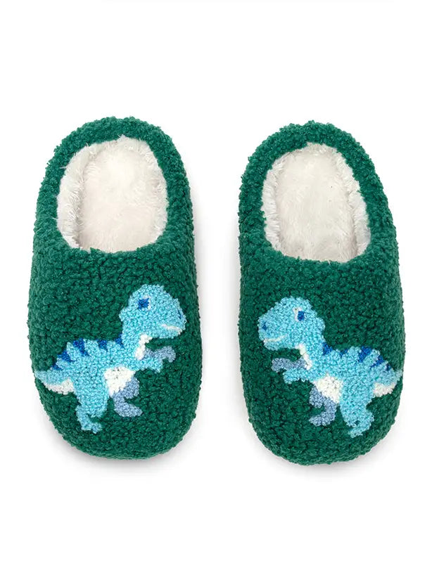 Dino Slippers