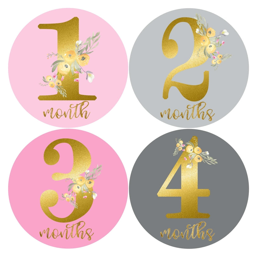 Blush Pink Gold & Grey Baby Girl Monthly Stickers