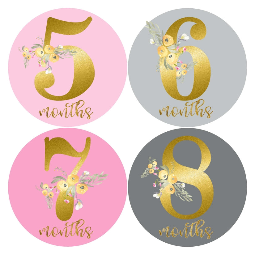 Blush Pink Gold & Grey Baby Girl Monthly Stickers